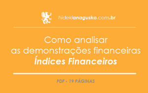 Como analisar as demonstrações financeiras – Índices Financeiros